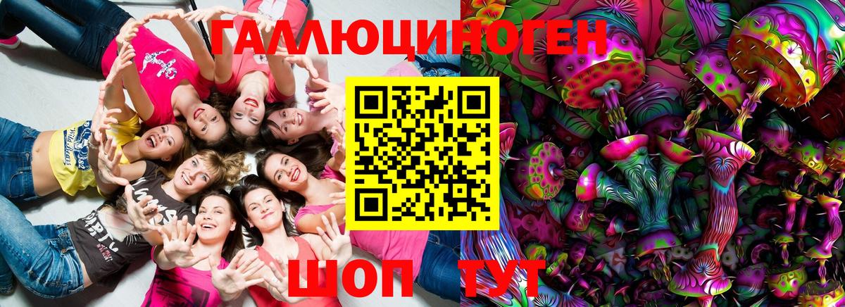 Галлюциногенные грибы Psilocybine cubensis  как найти   Псков  Вход с VPN  Псилоцибиновые грибы MAGIC MUSHROOMS 
