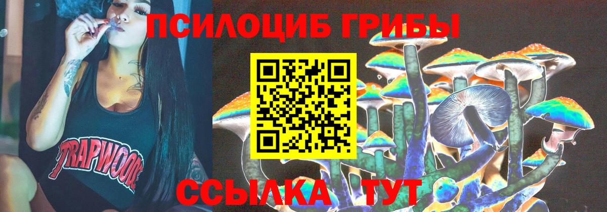 Псилоцибиновые грибы ЛСД Псков