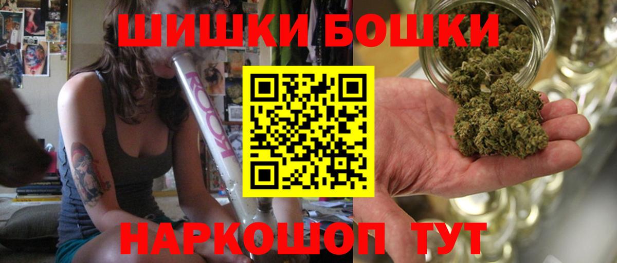 Бошки Шишки план Псков